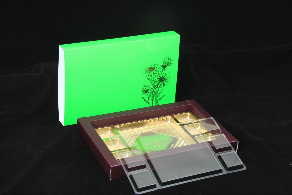 Neon Box Container 15 Neon (Combo) Pack of 10 – Ipfkart.com
